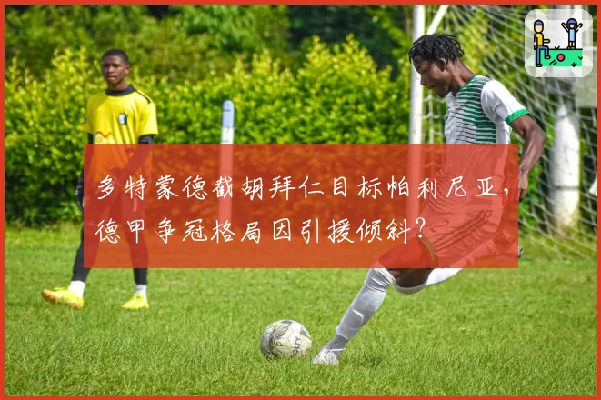 多特蒙德截胡拜仁目标帕利尼亚,德甲争冠格局因引援倾斜?