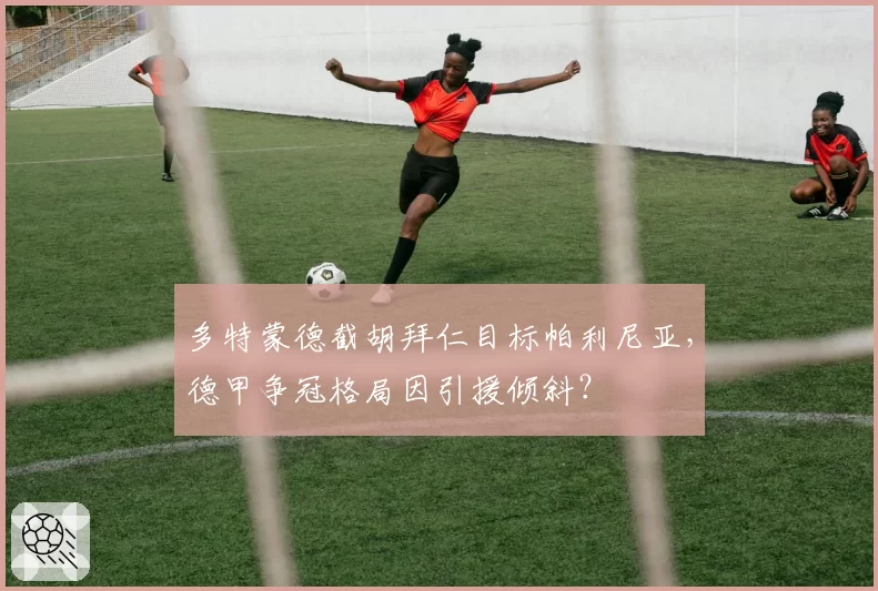 多特蒙德截胡拜仁目标帕利尼亚,德甲争冠格局因引援倾斜?
